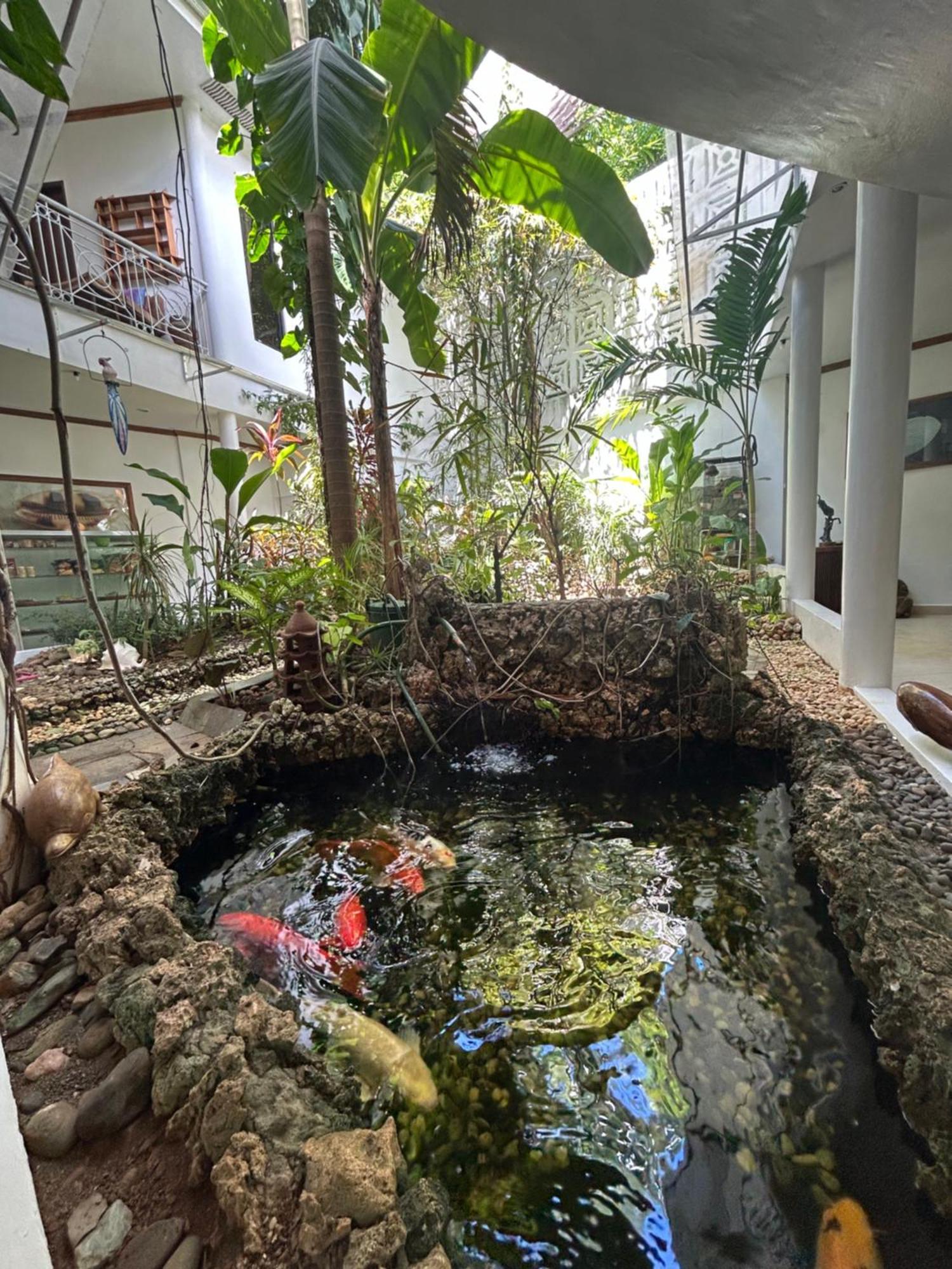 Argonauta Boracay Apartment Suites And Villas Boracay Island Екстериор снимка